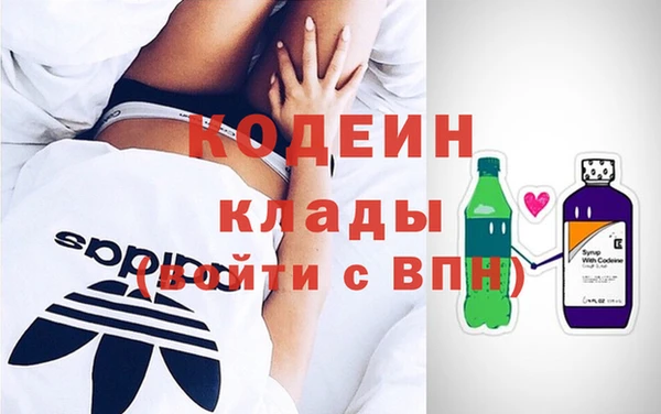 дмт Богданович