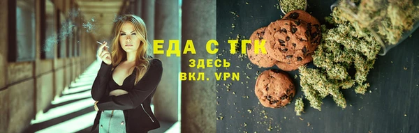 спиды Богородицк