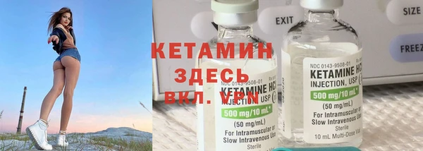 дмт Богданович