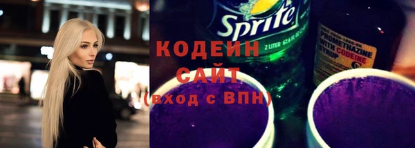 спиды Богородицк