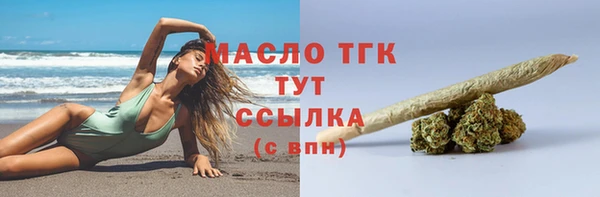 спиды Богородицк