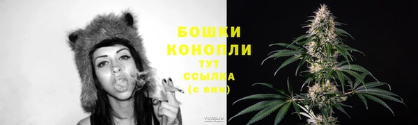 спиды Богородицк