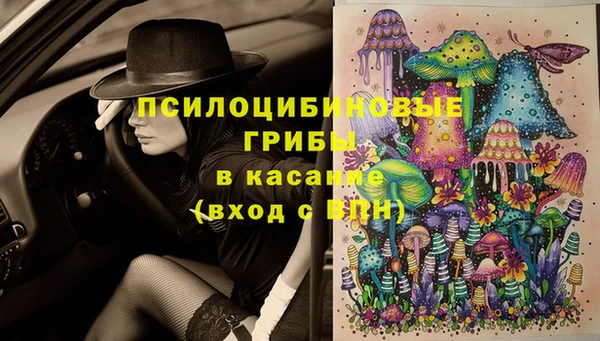 дмт Богданович