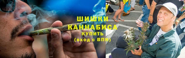 спиды Богородицк
