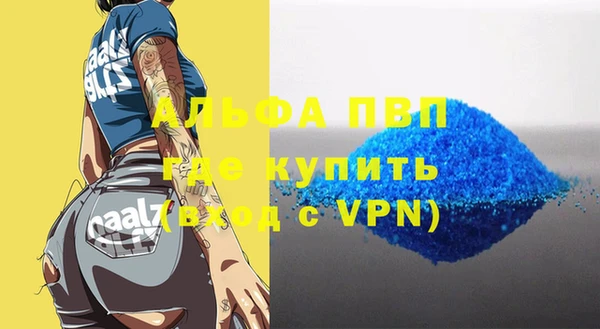 дмт Богданович
