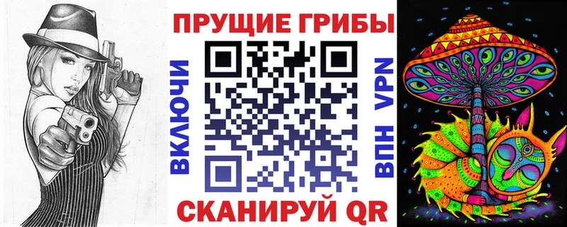 omg ссылки  Духовщина  Галлюциногенные грибы Cubensis 